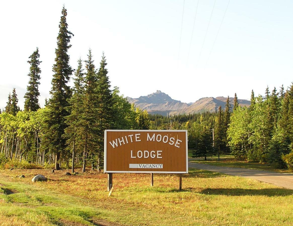 White Moose Lodge Healy Exterior photo