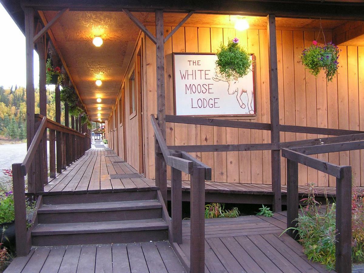 White Moose Lodge Healy Exterior photo